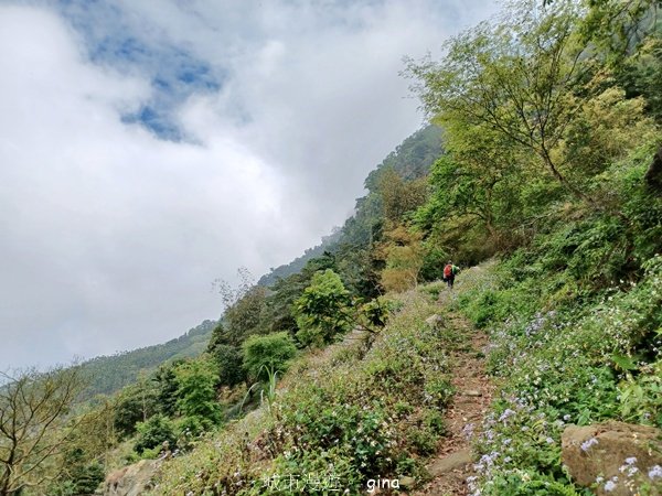 【台南白河】雞籠山+九龍山+大凍山O繞縱走2797139