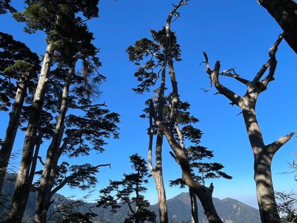 一日南橫二星人品爆發2995773