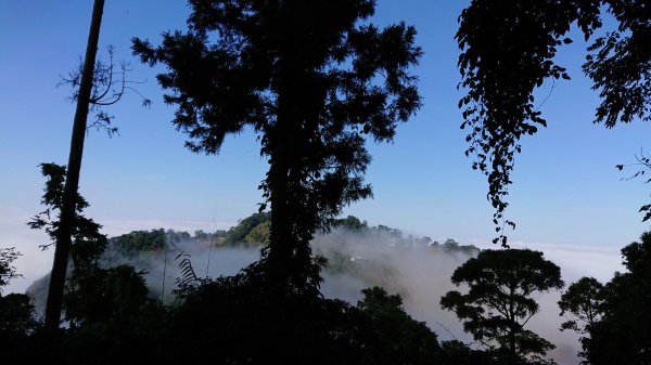 仙山登山步道503210