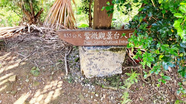 紫微聖母環山步道，土城桐花公園，五尖山，原住民族生態公園，大平紅橋，三坑自然生態公園1746425