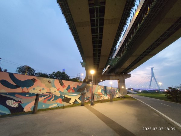 【臺北大縱走 8】捷運動物園站→捷運關渡站［河濱自行車道］2727249