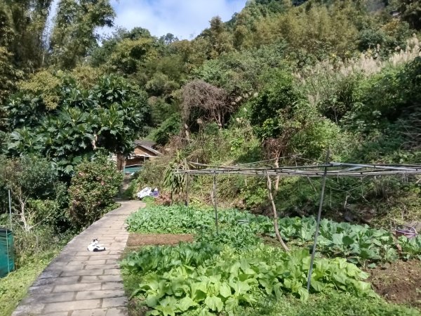 士林區礁坑橋+平溪步道+鵝尾山水田步道+大坪尾山+平菁步道O型2995890