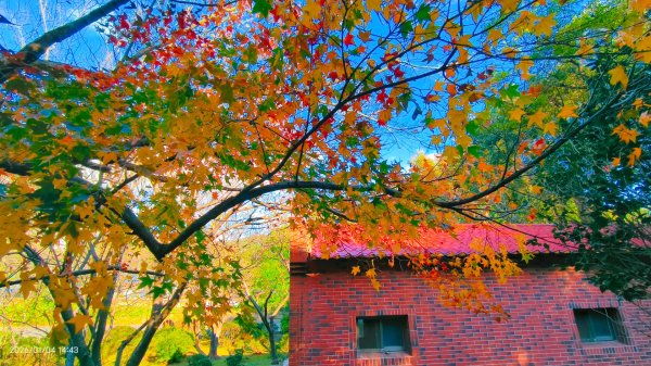 #花卉試驗中心 #永公路500巷 #平菁街42巷 #原住民公園 #士林官邸 1/42976625