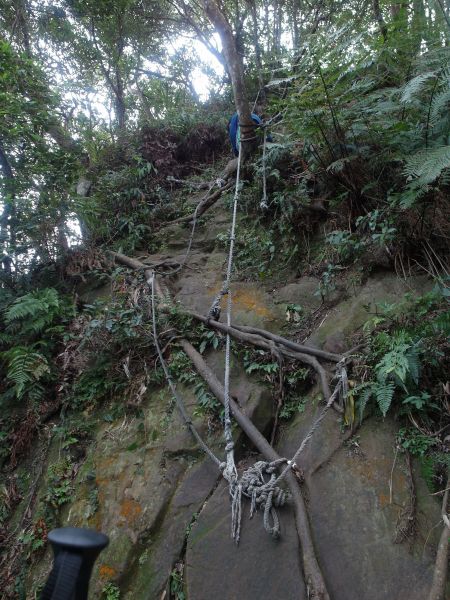 台灣小百岳第21座-桃園大溪金面山三角點100592