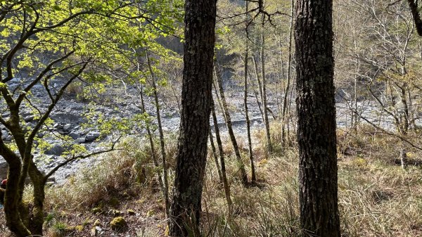 秀林塔次基里溪古關原3027624