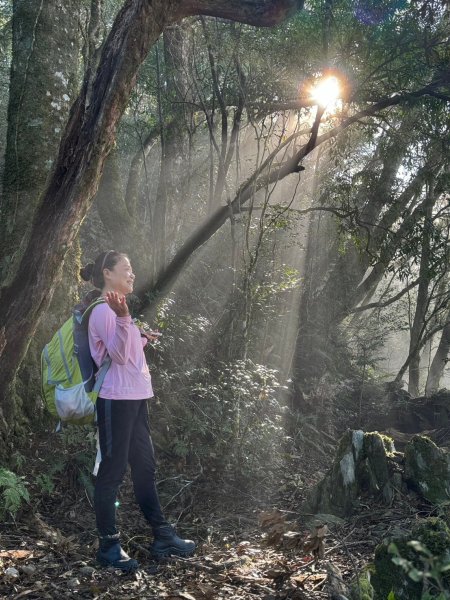 🌈12/18（三）魔法森林-塔曼山~網美打卡-巴陵鐵塔🌈2671863