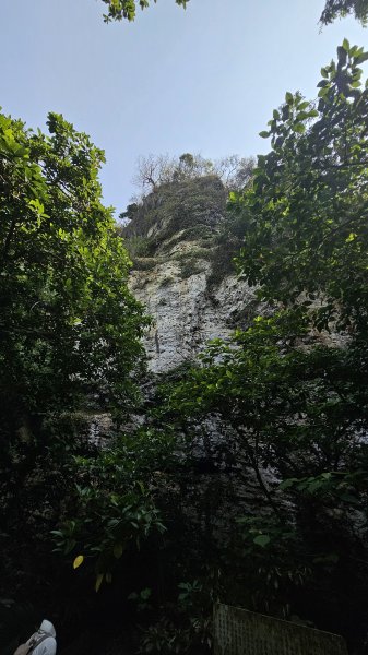 【柴山、壽山、萬壽山，到底哪個才是你！🤣🤣】走一座可以映照出高雄不同時期歷史軌跡的山。3025849