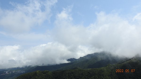 雲山水花鳥蝶 - 天龍國阿伯的日常5/71704608