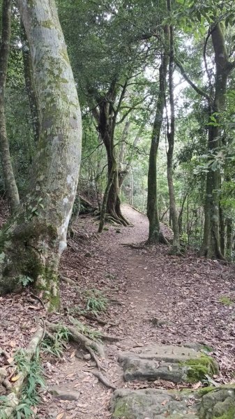 20251004 馬那邦山 - 珠湖 登山口2904834