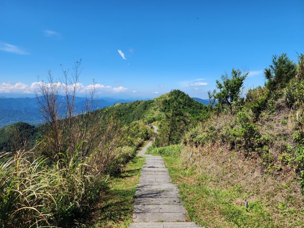 小百岳No.10⛰五分山2883170