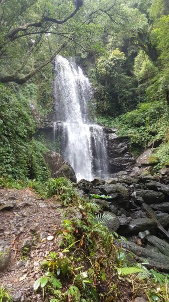 三峽雲森瀑布組合山401169