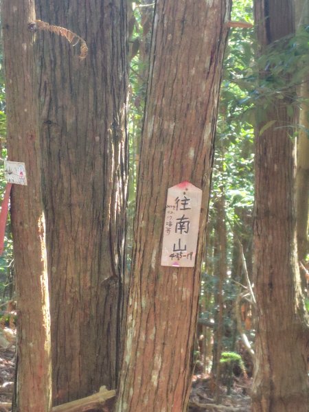 守關山南峰 守關山 守城大山2919141