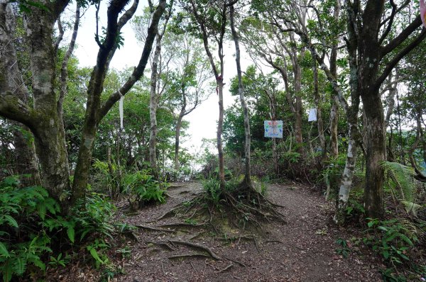 新北 烏來 烏來山、大桶山、四崁水山2829248