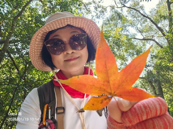 20260119飛沙縱走東段加碼9連峰大O走2988919