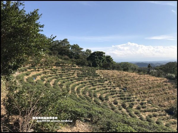 賞芒秘境秀才登山步道1157401