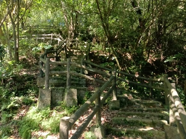 汐止區白雲古道+白雲寺O型2911970