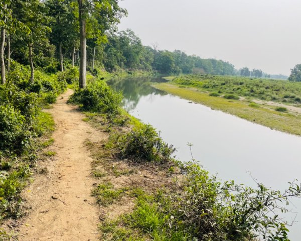 尼泊爾奇旺國家公園4天三夜2788886