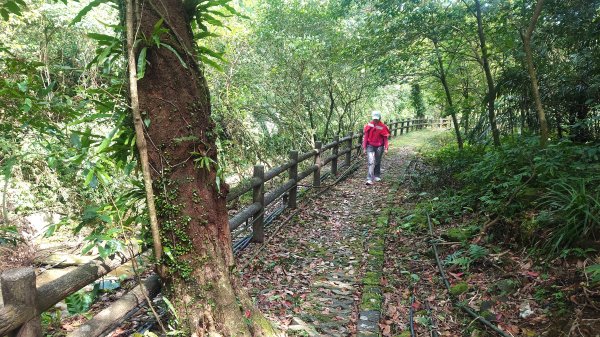 清幽的古道與舊日採礦遺址巡禮瑞芳蛇形子古道登烏塗窟山與獅子嘴奇岩O形2756634