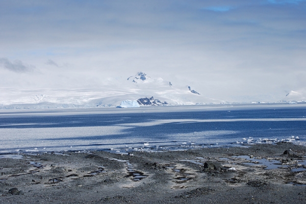 【新聞】南極海水檢出防曬油和化妝品 濃度不亞於大都市