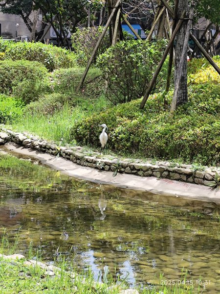 宏匯瑞光廣場、大港墘公園、至誠公園、師大公園2761910