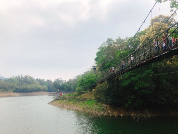 頭社水庫生態步道317052