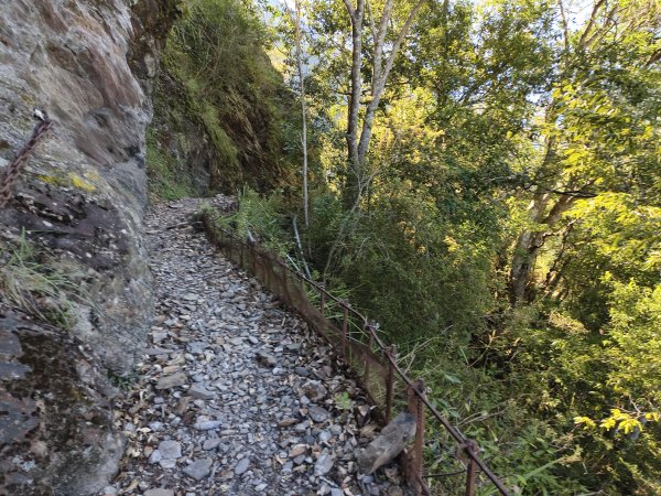 [玉山尋寶任務-07/12] 2025_0824 八通關雲龍瀑布步道2870621