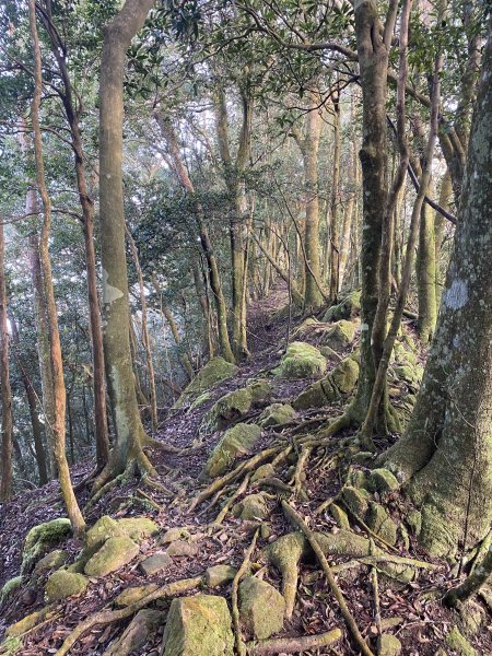 坐公車接駁的神仙縱走2707393