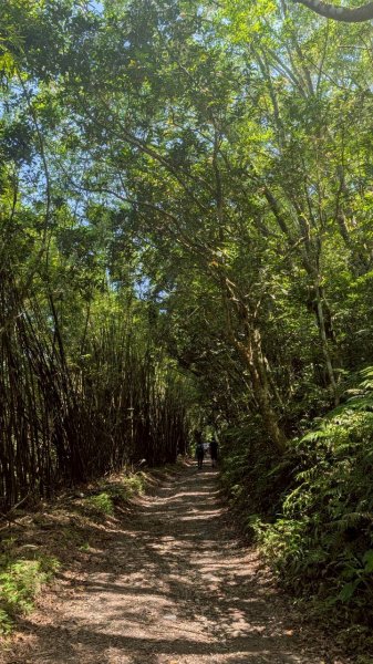 三角崙山、聖母登山（抹茶山）步道3067681