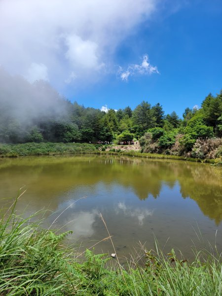 2026-0705-大雪山神木啞口健行3082582