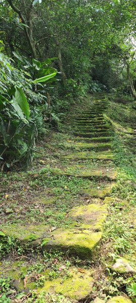 土城山中湖1067106