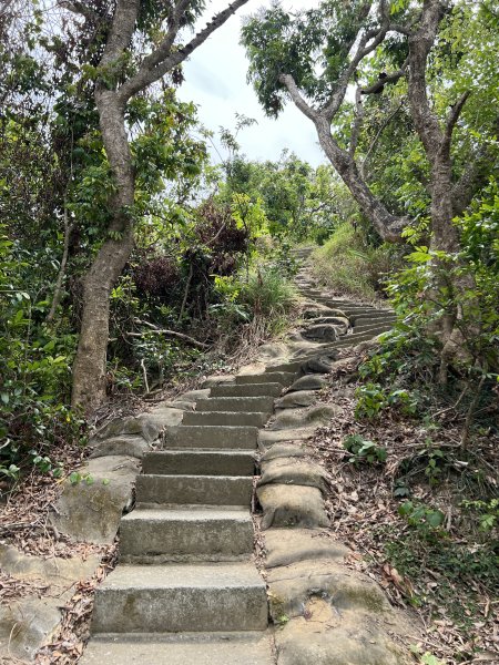 小百岳-大社觀音山2752482