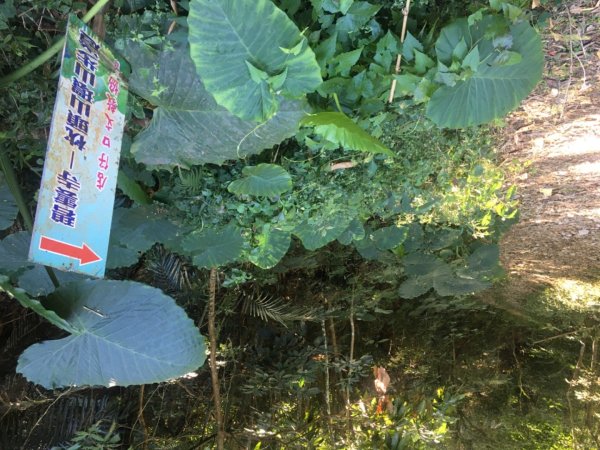 枕頭山o、火山碧雲寺、水火同源2390220