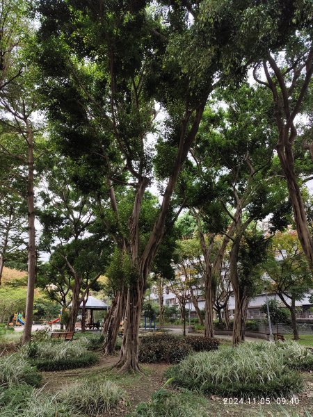 大港墘公園、撫順公園、花博公園圓山園區、新北歡樂耶誕城2651245