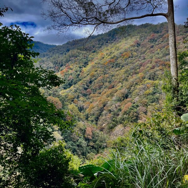 20241221 霞喀羅二天一夜露營賞楓2711953