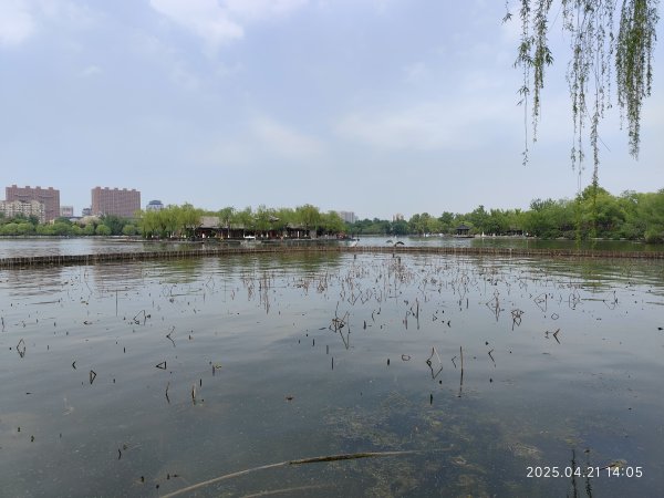 中國山東濟南大明湖、濟南古城、千佛山2775558