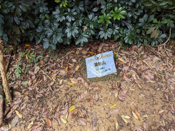 2024-03-31 金面山親山步道、剪刀石、象山親山步道2793321