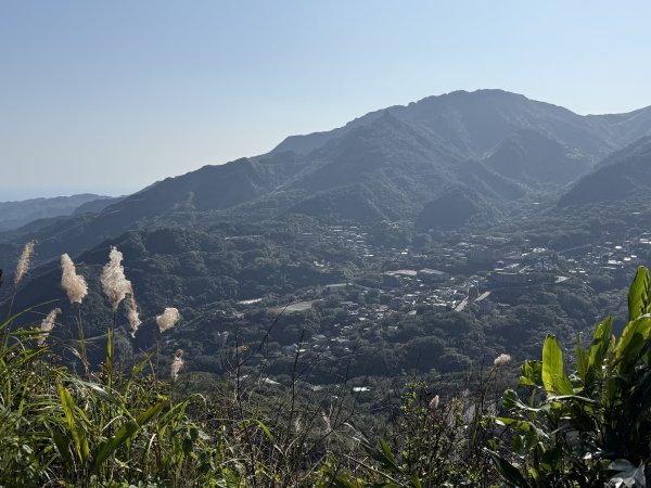2025/01/20 金瓜石 基隆山 茶壺山2894033