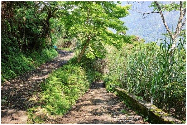 砂卡礑林道-2023年4月14日2137987