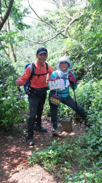 拓印檯關渡親山步道忠義山親山步道貴子坑親575924