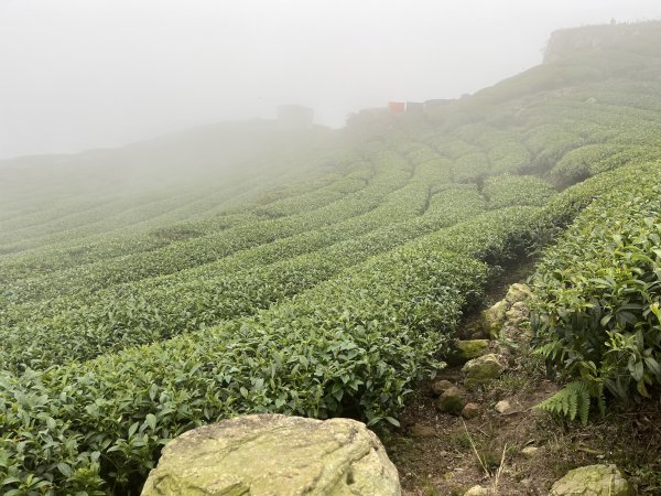 2023_0429_挑筍古道2138277