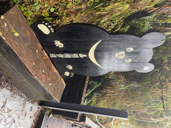 20250104-05 向陽縱走魔保來溪頭山出關山嶺山2683505