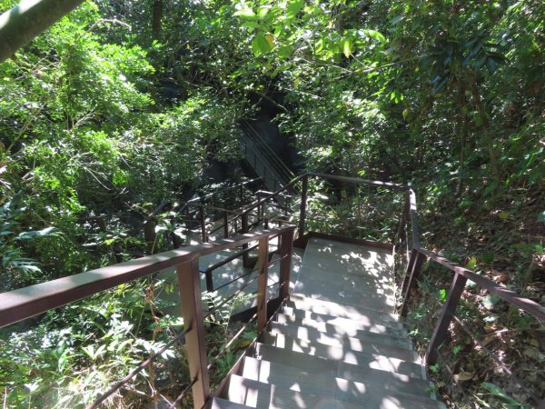 彰化桃源里森林步道+龍鳳谷森林步道2696112