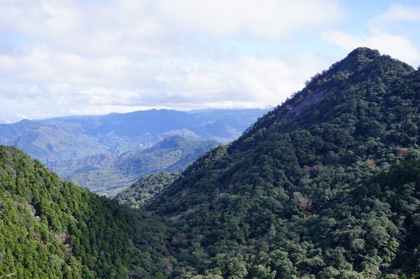 新竹關西鎮 水田林道之貴妃&那結山連走1539696