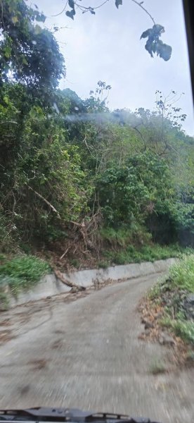 2025 4/5 加奈美山2754440