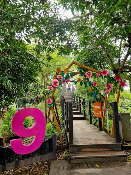 大坑9、10號步道-(台中)臺灣百大必訪步道2805945