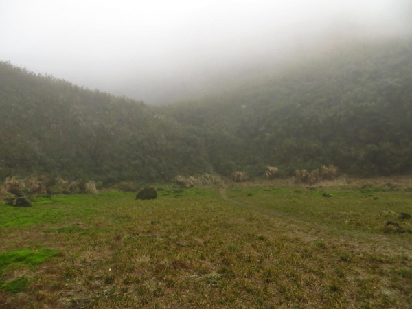 雲霧中遊走七星山之美33427