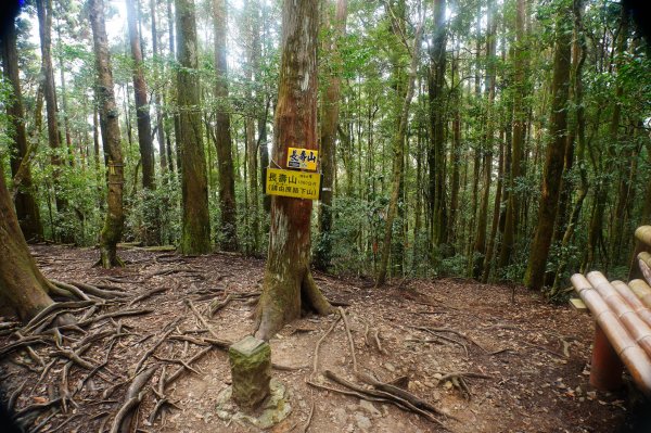 臺中 和平 大崠山、長壽山、醜崠山3028328