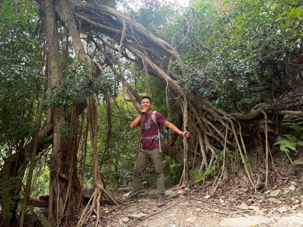 知本森林遊樂區2981304