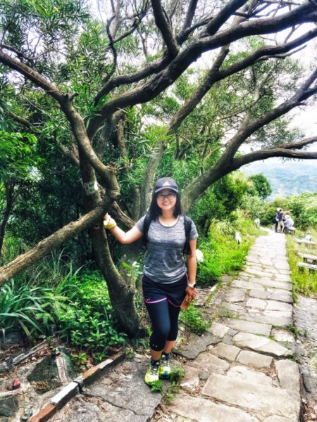 健行筆記淨山（鯉魚山）653903