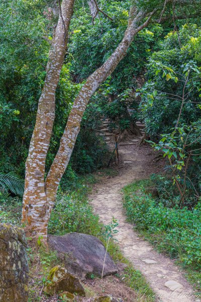 [台中]南觀音山2688170